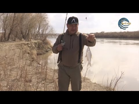 Видео: ІЛЕ ӨЗЕНІНЕН БАЛЫҚ АУЛАУ / ОЛЖА / 03.04.2022