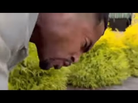 Видео: Энтони критикует Закон вместе с Дейленом в отношении Эмбер. Обзор Кантри Уэйн