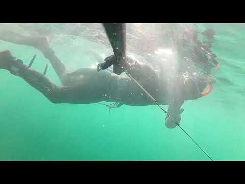 Видео: подводная охота кефаль 2022 su alti  kefal ovu 2022