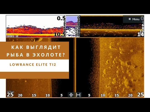 Видео: Как выглядит рыба в эхолоте? Lowrance Elite Ti2