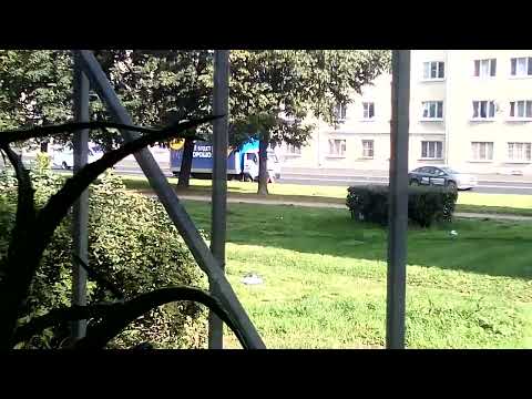 Видео: Ну, Тут Еще Про «Уровень» Поливания Мною Растения (4 555)