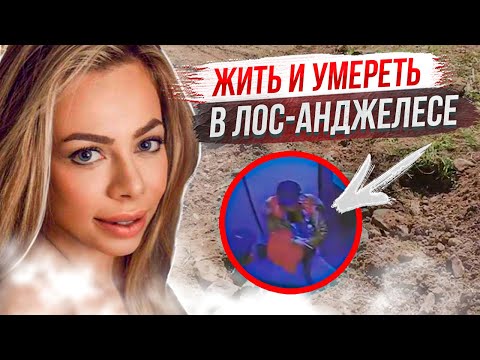 Видео: Раскрыто с помощью камер видеонаблюдения:  дело Адеа Шабани