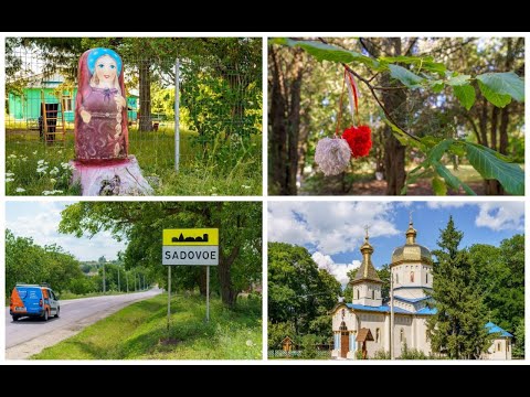 Видео: Проект «По сёлам»: село Садовое муниципия Бельцы