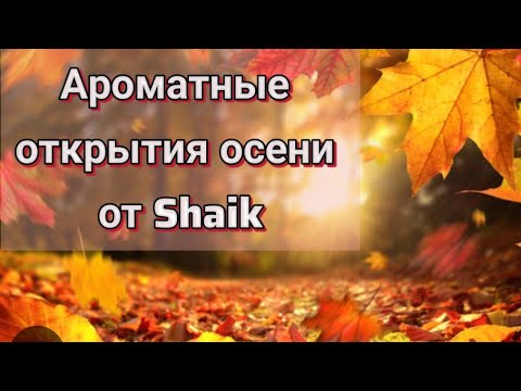 Видео: Ароматы осени от Shaik🍁