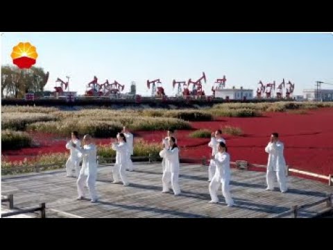 Видео: Тай-чи представляет собой древнее китайское боевое искусство