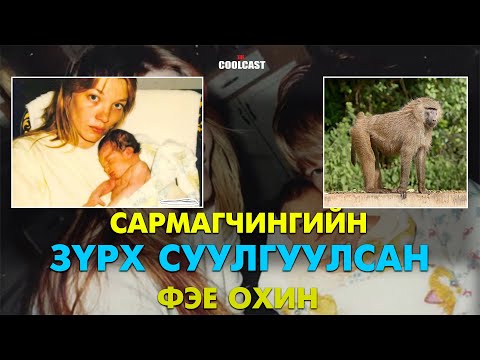 Видео: Сармагчингийн зүрх суулгуулсан Фэе охин ба Пандорагийн хайрцаг