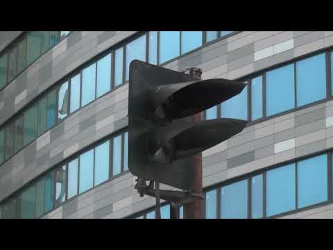 Видео: Заброшенные железные дороги  Королёв  Часть 1