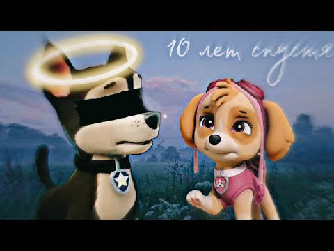 Видео: Гончик и Скай-10 лет спустя