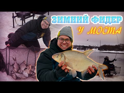 Видео: Зимний фидер у моста. Школа донной ловли.