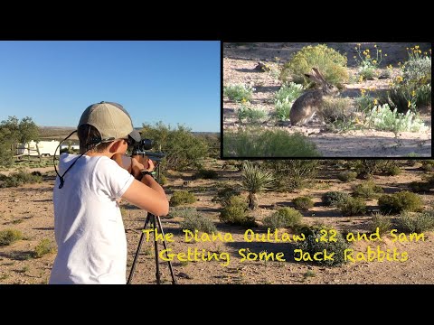 Видео: Diana Outlaw .22 и Сэм охотятся на зайцев с Airgun Pro Shop!