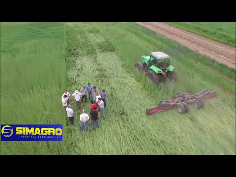 Видео: Покровные культуры, техника для работы с покровными культурами. Каток SIMAGRO.