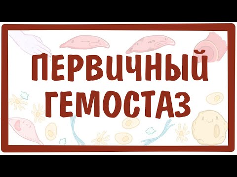 Видео: [физиология] — Первичный (сосудисто-тромбоцитарный) гемостаз