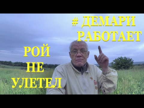 Видео: Противороевые методы и проблемы в борьбе с роением пчел на больших пасеках