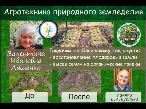 Видео: Грядочки по Овсинскому год спустя - продолжение