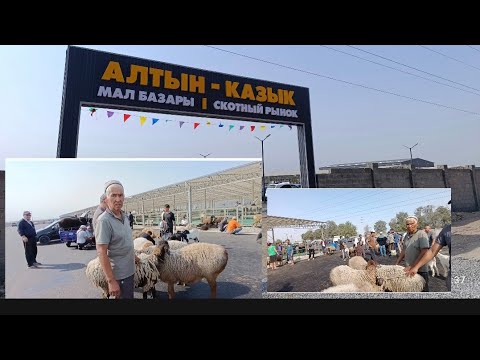 Видео: ЖАҢЫ БАЗАР БИШКЕКТЕ МАЛ БАЗАРЫ АЧЫЛДЫ БҮГҮН 06/09/25/