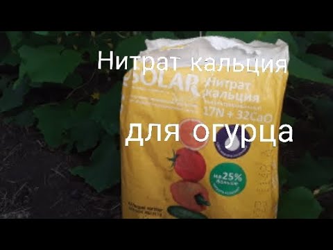 Видео: Нитрат Кальция для огурца. Внесение под корень #subscribe #землядел #кальций
