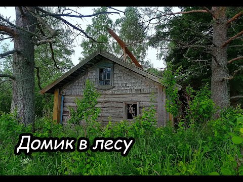 Видео: Находки старины. Заброшенная деревня Муханово, Ярославская область. Брошенные дома.