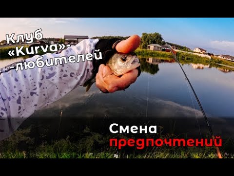 Видео: Сила рыболовных примет. Поиски и тест Maximus Pointer X Travel Jig 21UL по низам