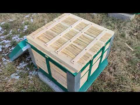 Видео: Beekeeping. Зимовка итальянских пчел в 12 рамочном улье из камыша.