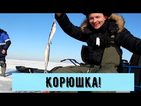 Видео: КОРЮШКА ФИНСКОГО ЗАЛИВА! МАЯК ТОЛБУХИН! МАМКИ ХОТЯТ ТЮЛЬКУ!