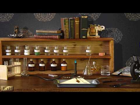 Видео: The Lost Files of Sherlock Holmes The Case of the Rose Tattoo 13 прохождение walkthrough