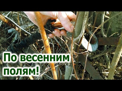 Видео: Металлокоп! По полям! Медь забрали, оставили движки!