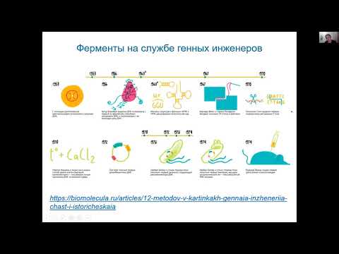 Видео: Лекция 4. Ножницы для ДНК: рестрикционный анализ в пробирке и биоинформатический анализ в Ugene