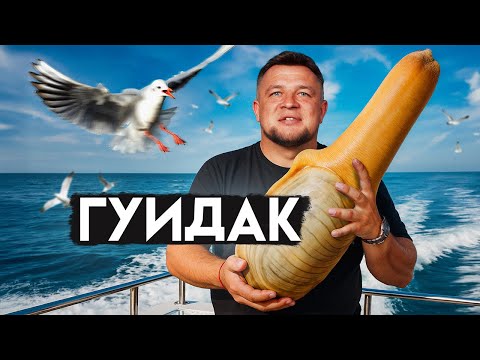 Видео: ГУИДАК: самый странный моллюск в мире