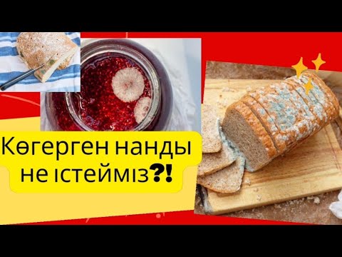 Видео: Плесень.Көгерген нан,тосапты не істеуге болады?!