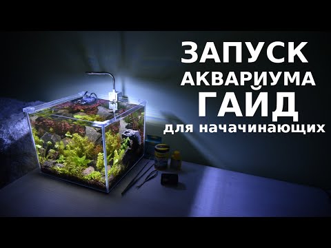 Видео: Запуск аквариума гайд для начинающих - пошаговый инструктаж