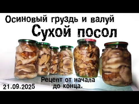 Видео: Осиновый груздь и валуй. Сухой посол. 21.09.2025