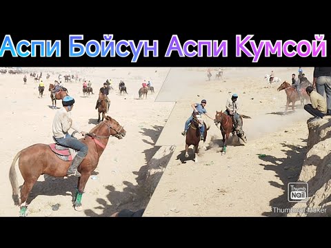 Видео: Бузкаши Шаҳри Панҷакент 18.10.2025 Қисми 2