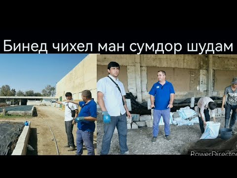 Видео: Бизнеси биогумс дар н.Чайхун. Аз похруи Гов сумдор шудам.