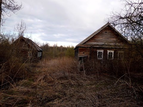 Видео: 2022 В гости к отшельнику-пчеловоду. Пасека в заброшенной деревне