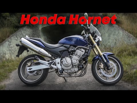 Видео: Honda Hornet 600 - Идеальный дешман на повседнев?