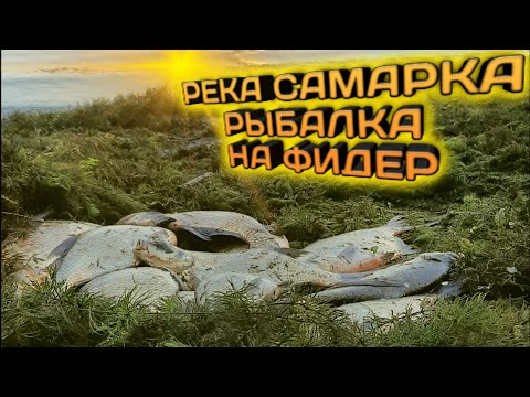Видео: Рыбалка в Самаре на Фидер Кировский мост#Рыбалка в Самаре