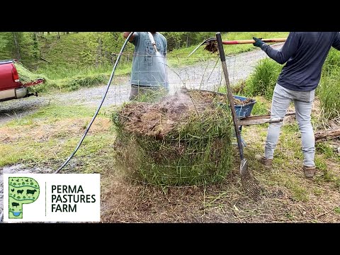 Видео: Устойчивость природы: процветающий заброшенный продовольственный лес после 2,5 лет запустения!