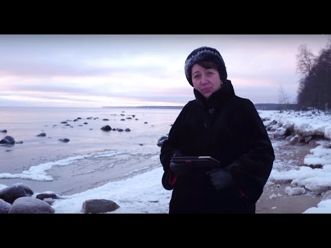 Видео: 451. Хлеб на каждый день. Кто из чего строит?