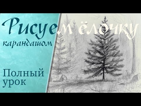 Видео: Как нарисовать ёлку карандашом. Поэтапный рисунок