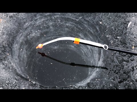 Видео: ЗАЧЕТНЫЕ ПРУТ НА САЛО и ТЕСТО! ЛОВЛЯ С ЖЕНОЙ) Зимняя рыбалка 2021