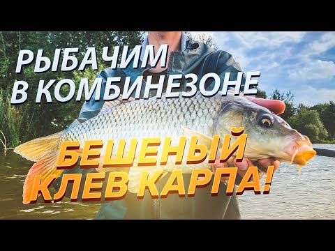 Видео: ОТКУДА СТОЛЬКО РЫБЫ?! КОМБИНЕЗОН от FORTMEN - чем ДАЛЬШЕ в воду, тем БОЛЬШЕ УЛОВ КАРПА!
