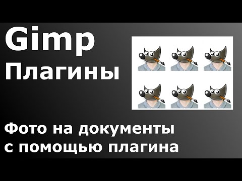 Видео: Gimp 2021 014   Плагин фото на документы