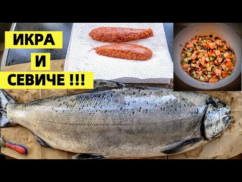 Видео: ИКРА ДЛЯ  РЫБЫ  a СЕВИЧЕ ДЛЯ ЛЮДЕЙ. РЫБАЛКА НА ЛОСОСЬ - ЧАВЫЧА В США.