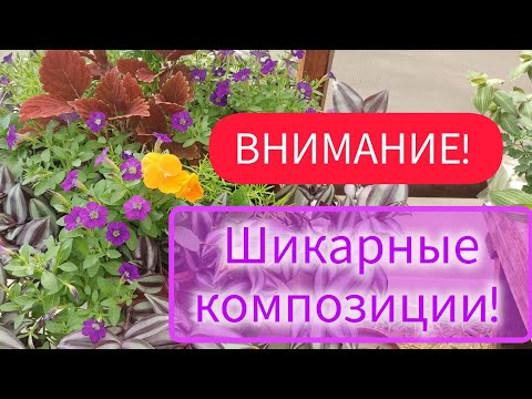 Видео: Композиции для лета!