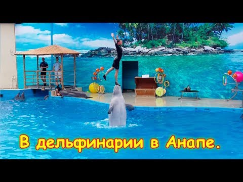 Видео: В дельфинарии. Анапа. В восторге от представления! (07.18г.) Семья Бровченко.