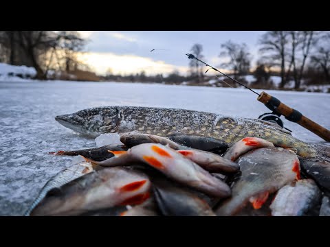 Видео: Добре що робив Здорові Лунки,а то Був би Без Мормишок.Річка Уж