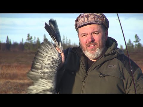 Видео: ОХОТА НА БЕЛОМ МОРЕ: БАБЬЕ ЛЕТО И ДИКИЕ ГУСИ С ВАЛЕРИЕМ КУЗЕНКОВЫМ