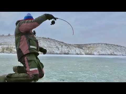 Видео: ВОТ ЭТО ДА! НАШЛИ ЛОГОВО СУДАКОВ! ПЕРВЫЙ ЛЁД НА РЕКЕ ДОН