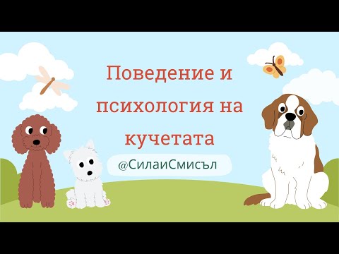 Видео: Поведение и психология на кучетата