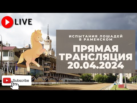 Видео: 20.04.2024: Прямая трансляция из Раменского.